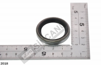 Input Shaft Seal
