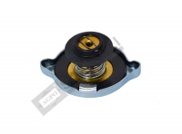 Cap-Radiator Old Type 7.Lbs