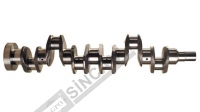 Crank Shaft (Lip Seal Type) 3 Holes 6.Cyl Casting