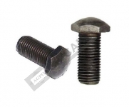 Screw-Toggle Lever M10x1.0 Mm (Valeo Type)