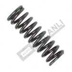 Spring-Lock Fork 