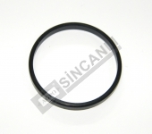 Rubber Gasket (Big)