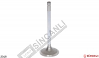 Valve Exhaust