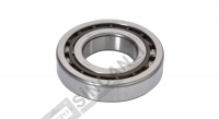 Roller Bearing