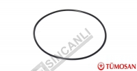 Gear O'Ring