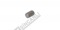 Pin 10 Mm