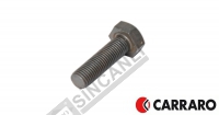 Bolt M10x1,25x35