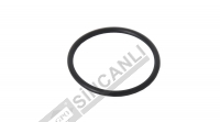 Gear Shaft O-Ring