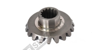 Planetary Gear
