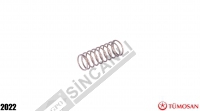 Valve Spring