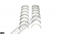 Main Bearing