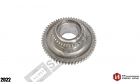 Transmission Gear