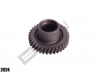 Gear