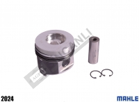 Piston & Piston Ring set 