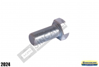 Bolt M20x45