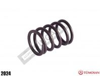 Valve Spring