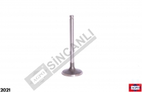 Inlet Valve