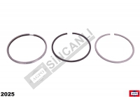 Ring Set-Piston Std 100.6 Mm