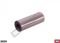 Piston Pin