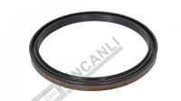 Large Hub Oil Seal-Waterproof 173*200*15,5/17