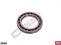 Bearing-Pto Clutch