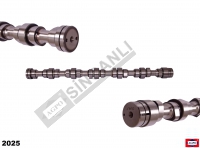 Camshaft