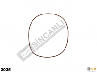 Oil Seal