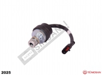 Ignition Key