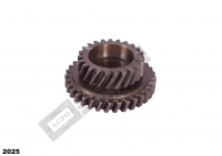 YAVRU ŞANZIMAN DİŞLİSİ Z:23/33