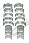 Main & Conrod Bearing Set . Std