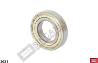 Pilot Bearing