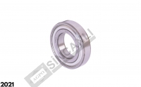 Pilot Bearing