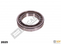 DIS PRÜZDIREK IGNELI RULMAN