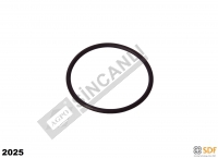 R1-50-DİREKSİYON ANA MİL ORİNGİ