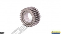 Idler Pinion 