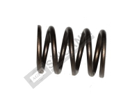 Valve Spring 