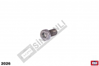 ALTIKÖŞE METRİK SOKET CIVATA M10x20_8.8