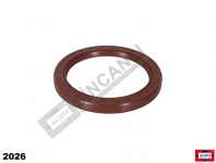 Rear Crank Seal