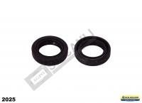 Oil Seal