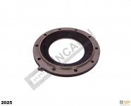 Rear Brake Piston Mirror