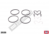 Tandem Pump Repair Kit (Bosh Type)