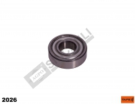 Pilot Bearing
