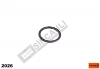 O-Ring