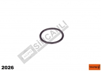 O-Ring