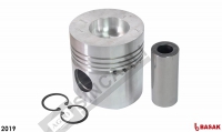 Piston Pim W/ Ring Std 100