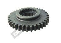 Gear