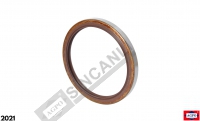ARKA AKS KEÇESİ 125x150x13